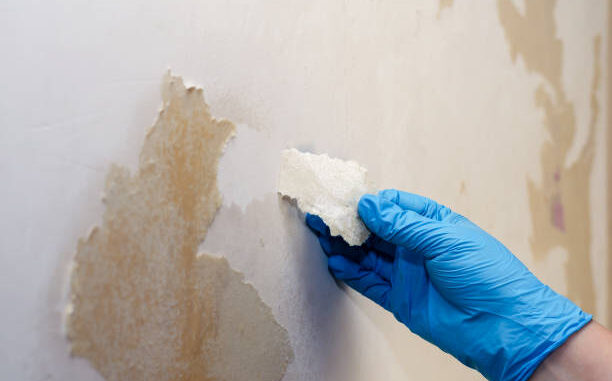 Tips for cleaning moldy walls